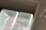 任天堂直面会消息汇总：包含大量即将发布的新游情报