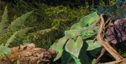 《最后纪元》溢出伤害偷取为生命属性算法攻略