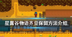 星露谷物语种齐豆任务攻略  齐豆保留方法介绍
