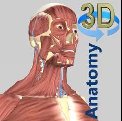 3D解剖.jpg
