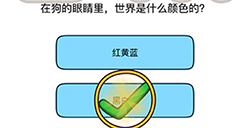 脑洞我最大第51关攻略  在狗的眼睛里世界是什么颜色的