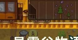 《星露谷物语》1.6大箱子怎么做 1.6大箱子攻略