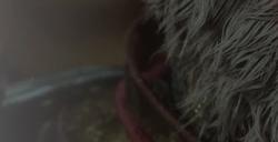 《黑神话：悟空》上线WeGame商城全新宣传片发布