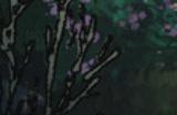 《自由前行》下载安装教程介绍
