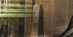 《逆水寒》又开始胡来了？提前两个月开启年末狂欢
