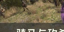 《骑马与砍杀2霸主》主要玩法有哪些 主要玩法介绍