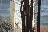 腾讯获《DNF》超本地化开发权 贴近中国玩家体验