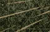 《苏丹的游戏》全通关路线介绍