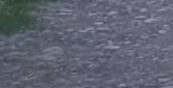 《无限暖暖》停电大抢救任务攻略分享