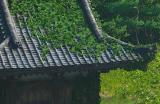 《刺客信条：影》凡人皆有一死成就做法介绍
