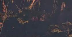 性感美女很赚钱！《星刃》工作室准备公开募股上市