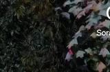 媒体称应加强人工智能伦理治理 防范以假乱真