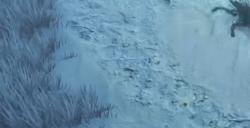 《最后纪元》头盔幽灵领主的港湾有什么特点