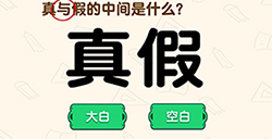 脑洞先生第175关攻略  真与假的中间是什么