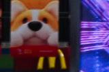 荣耀游戏中心亮相ChinaJoy，携手伙伴共建优质游戏内容生态