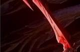《碧蓝幻想Relink》大量印记转化和按键绑定选项正在准备中