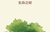 大脑转转转第12关攻略  生命之树