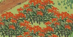 江南百景图废墟怎么探索  探险废墟攻略