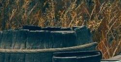 《艾尔登法环》dlc集物虫的笔记7的获得方法