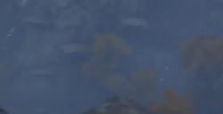 《艾尔登法环》啜泣半岛黑夜骑兵BOSS图鉴