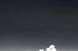 星球重启对答如流答案大全最新2023 星球重启对答如流答案分享