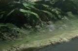 《三国志13》子女怎么培养 子女培养攻略