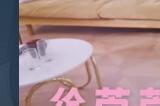《我和美女有个约会》上架Steam：25种结局 好多美女