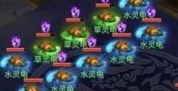 梦幻西游网页版五行斗法2023年7月攻略 7月最新五行斗法怎么过