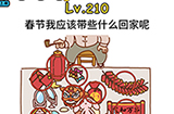 脑洞大大大第210关攻略  春节我应该带些什么回家呢