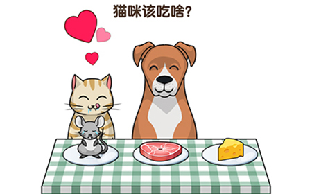 最强大脑3第47关攻略  猫咪该吃啥