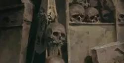 《暗黑4》已死没人玩了？玩家晒图：变单人模式了
