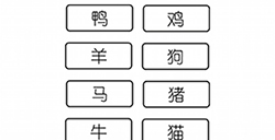 烧脑游戏大师第3关攻略  什么动物最怕水