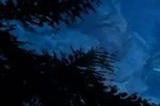《夜族崛起》银币哪里多 银币数量多位置详情
