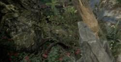 《夜族崛起》花盆怎么种花