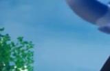 “抢先体验的抢先体验” 《幻兽帕鲁》XGP游戏版本落后Steam