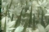 《合金装备：大师合集Vol.1》发布日将获得更新 解决小问题