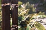 《无限试驾：太阳王冠》游戏游玩平台介绍