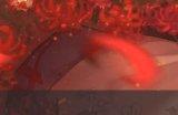 《阴阳师》春节专属召唤活动什么时候开始 春节专属召唤活动介绍