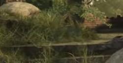 《猎杀：对决》无血的费用是多少