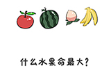 谐音梗挑战第23关攻略  什么水果命最大