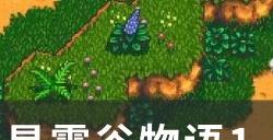 《星露谷物语》1.6浣熊成就攻略 1.6热心邻居成就攻略