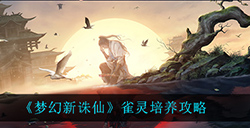 梦幻新诛仙中雀灵怎么培养雀灵培养攻略