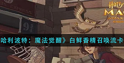 哈利波特魔法觉醒白鲜香精召唤流怎么玩  白鲜香精召唤流卡组攻略