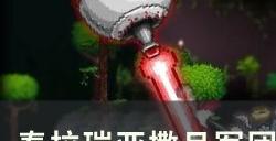 《泰拉瑞亚》撒旦军团怎么卡怪 撒旦军团卡怪场地搭建小技巧分享