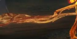 《艾尔登法环》癫火之王米德拉BOSS图鉴