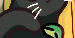 《流浪猫物语》合集6月27日登陆Switch 治愈系冒险