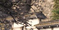 《刺客信条：影》不会更换男主 育碧将确保“历史准确”