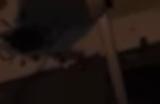 《灰烬的崛起》下载安装教程介绍