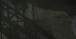 《最后纪元》戒指席尔瓦蕨叶有什么特点