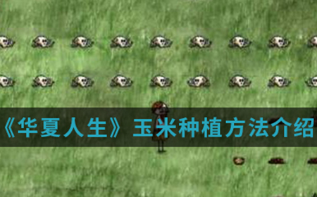 华夏人生手游中玉米怎么种植  玉米种植方法介绍